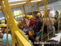 BARBADOSlive.at