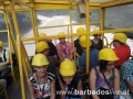 BARBADOSlive.at
