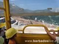 BARBADOSlive.at