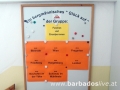 BARBADOSlive.at