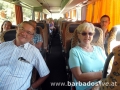 BARBADOSlive.at