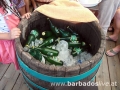 BARBADOSlive.at