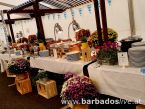 BARBADOSlive.at