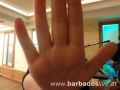 BARBADOSlive.at